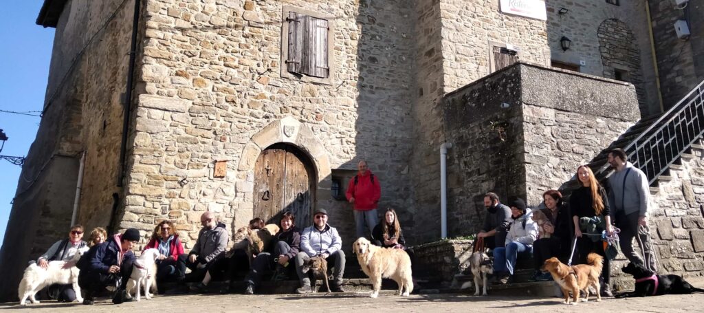 Camminata con i cani di gruppo