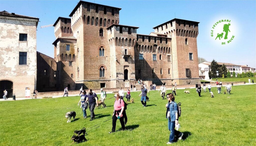 Divertirsi con le passeggiate di gruppo con il cane