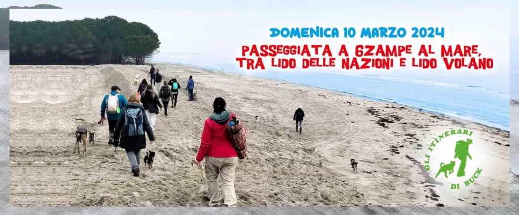 Passeggiata con i cani al mare